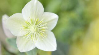 決済のすべてを、これ１台で。「Square ターミナル」テレビCMを関東エリアにて8月22日から放送開始