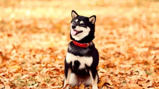 著者を変更してみた